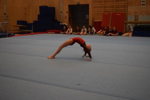 DSC 0275 (FILEminimizer)