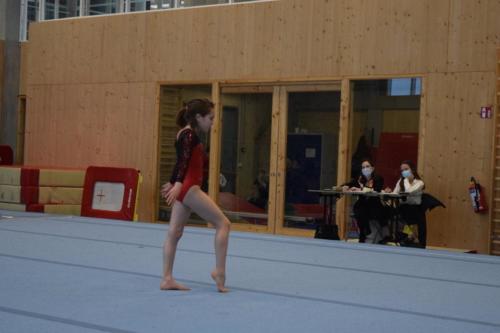DSC 0302 (FILEminimizer)
