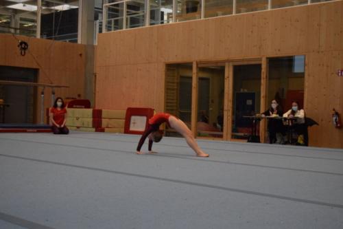 DSC 0312 (FILEminimizer)