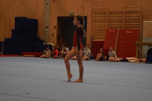 DSC 0329 (FILEminimizer)