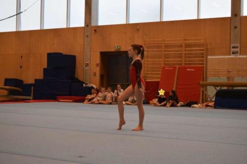 DSC 0347 (FILEminimizer)
