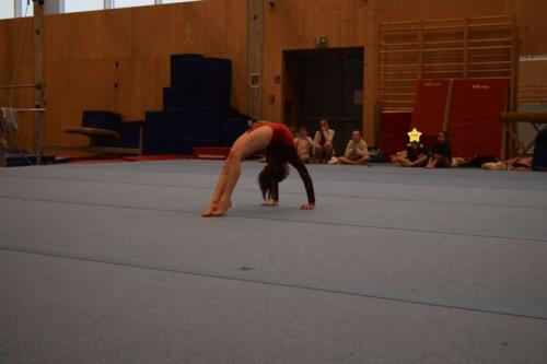 DSC 0350 (FILEminimizer)