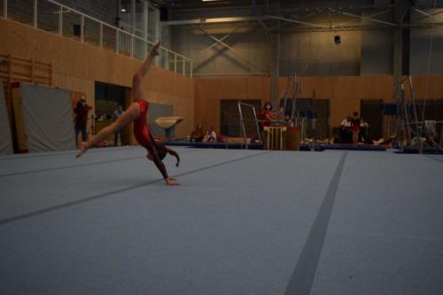 DSC 0478 (FILEminimizer)