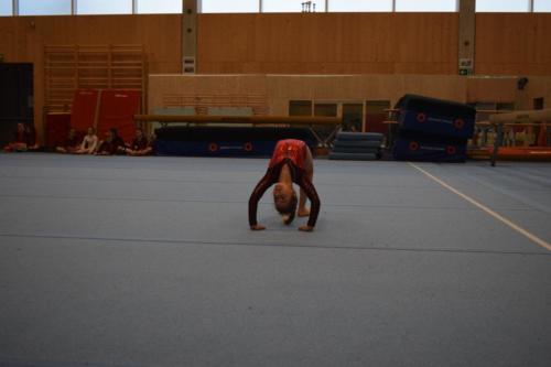 DSC 0517 (FILEminimizer)