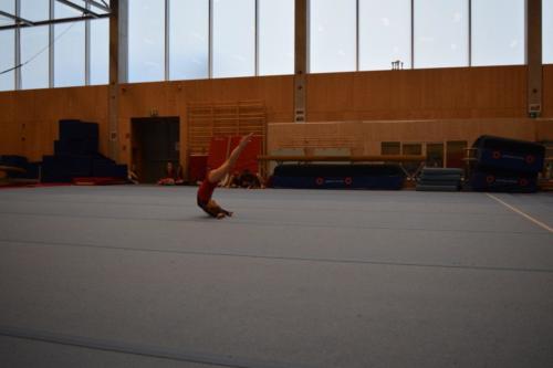 DSC 0518 (FILEminimizer)