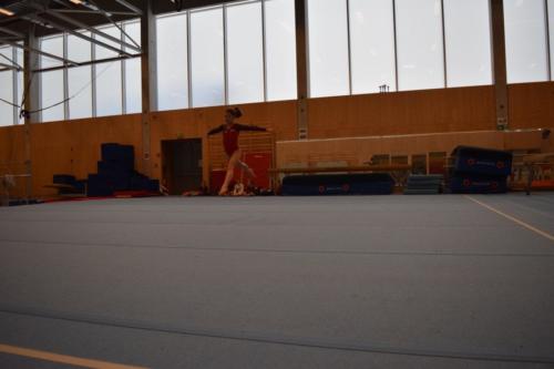 DSC 0530 (FILEminimizer)