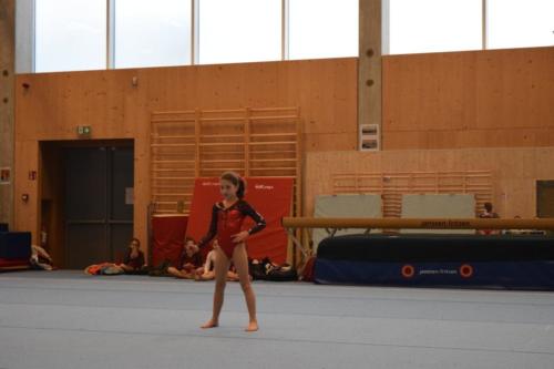 DSC 0531 (FILEminimizer)