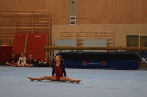 DSC 0532 (FILEminimizer)