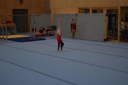 DSC 0049 (FILEminimizer)