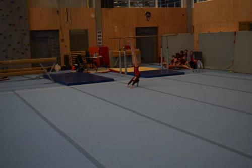 DSC 0094 (FILEminimizer)