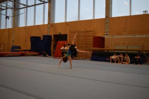 DSC 0705 (FILEminimizer)