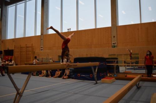 DSC 0727 (FILEminimizer)