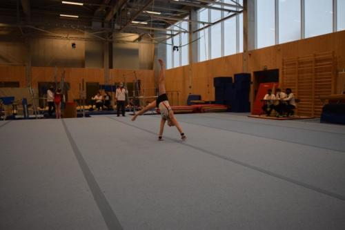 DSC 0740 (FILEminimizer)