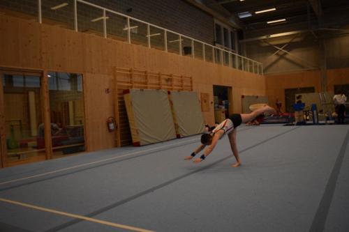 DSC 0746 (FILEminimizer)
