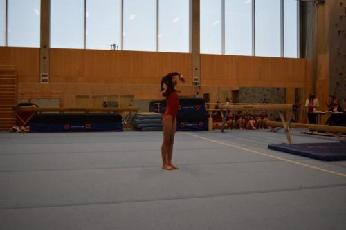 DSC 0823 (FILEminimizer)