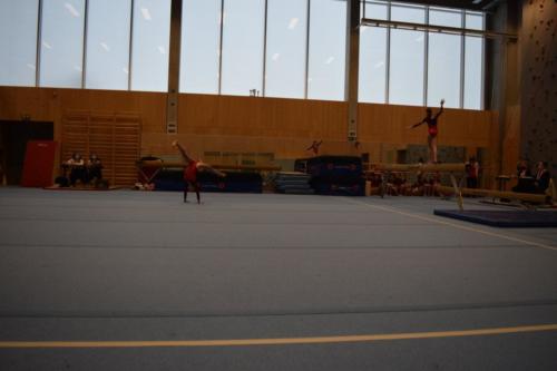 DSC 0835 (FILEminimizer)