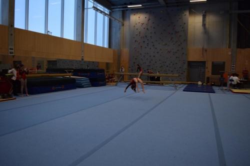 DSC 0976 (FILEminimizer)