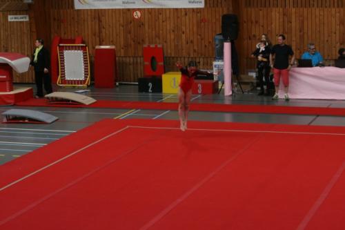 IMG 4708 (FILEminimizer)