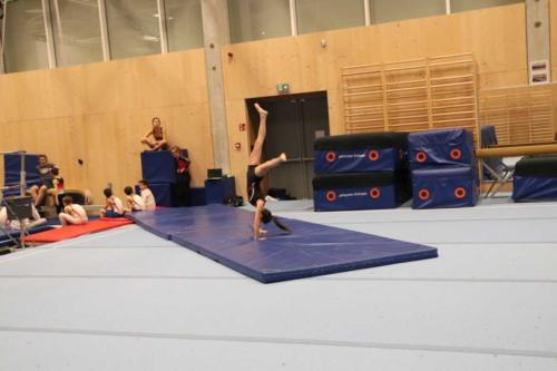 IMG 0261-min (FILEminimizer)