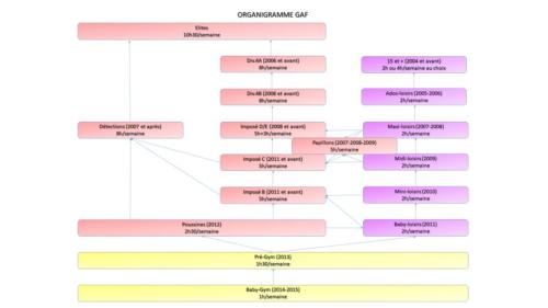 Organigramme GAF