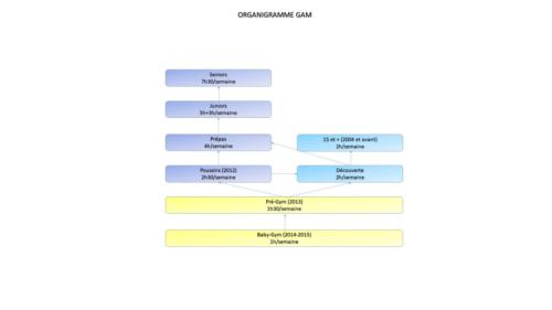 Organigramme GAM